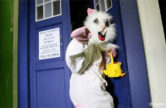 easter-bunny-tardis